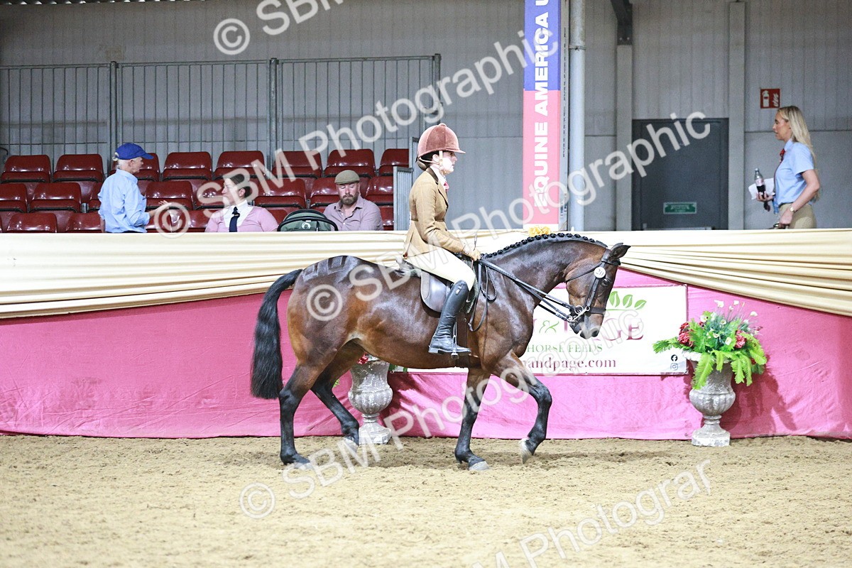 SBM_08034 - Class 11R - Regional Ridden Veteran