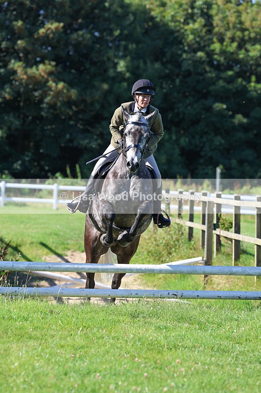 3E7A7775 - Class 2: Open Working Hunter pony