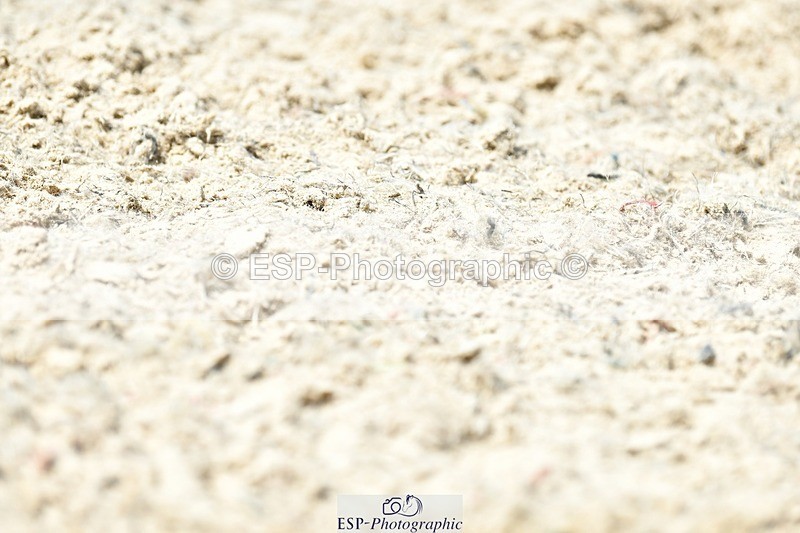 230623-125559-02294 - Cls 4 Novice 37Q 12.45 to End