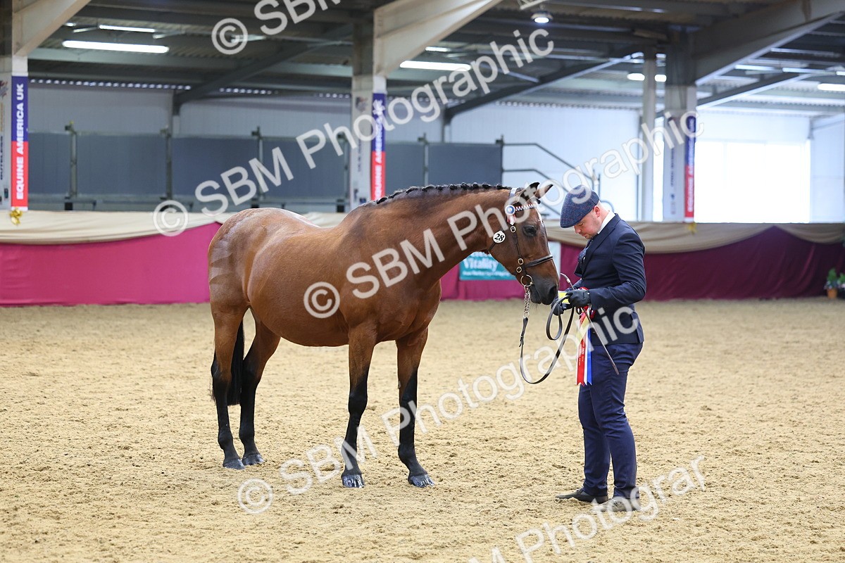 SBM_23239 - Supreme Final - IH Champion