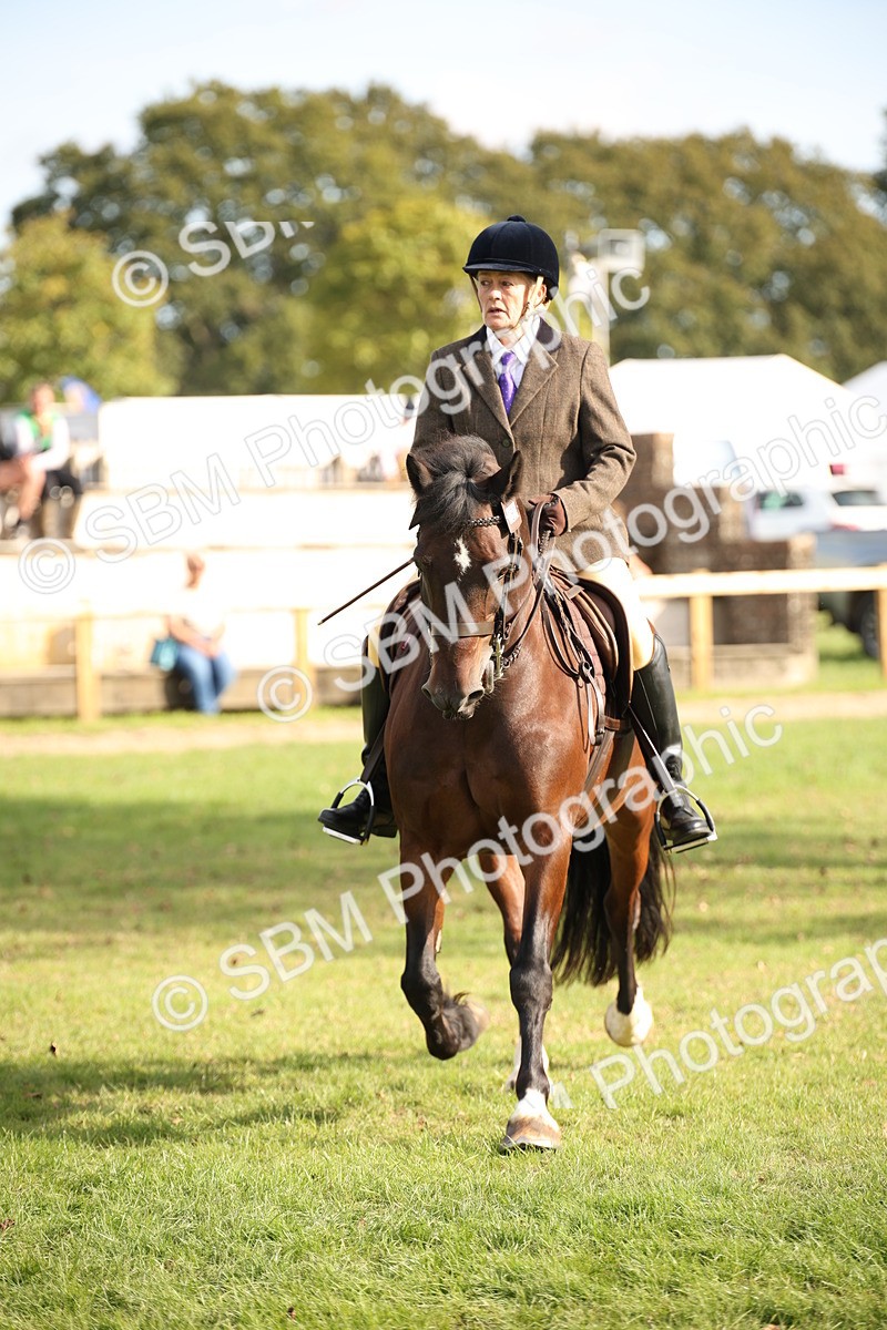 SBM_50165 - S26 - Young Veteran - Ridden