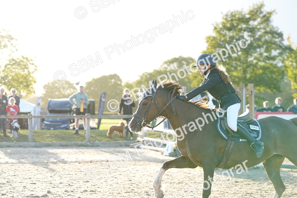 SBM_54146 - Supreme Championship 60cm 65cm
