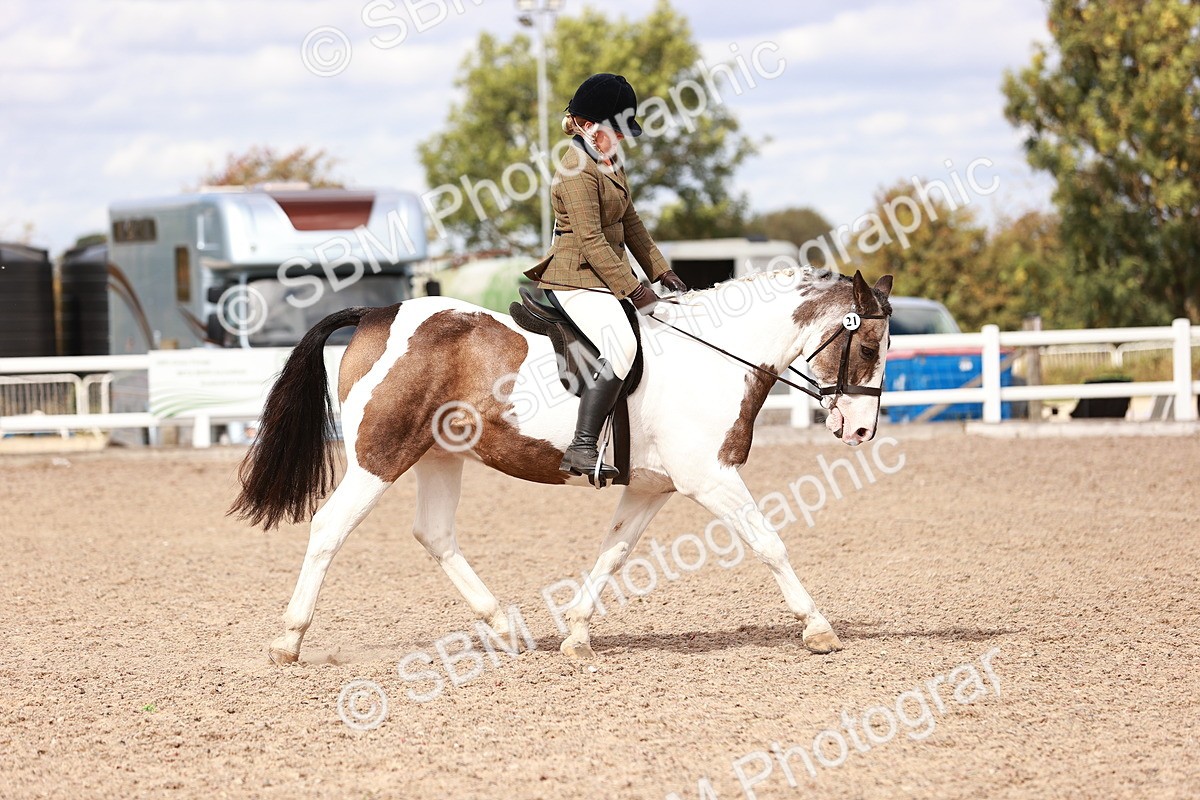 SBM_14378 - Class 409 - Grassroots Ridden - Pony