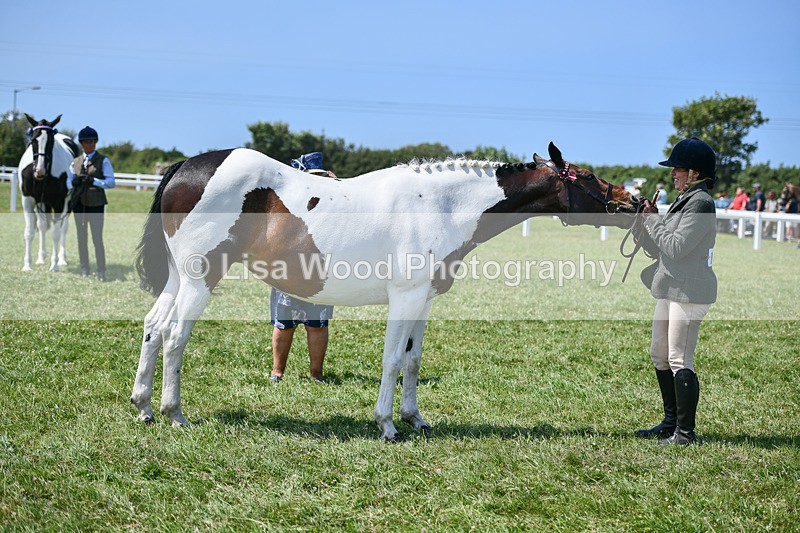DSC_7861 - Class 65: Coloured Horse 4yrs & Over