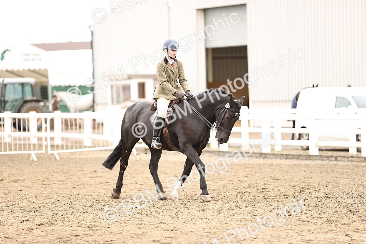 SBM_01333 - Class 54 - Riding Club Horse Pony