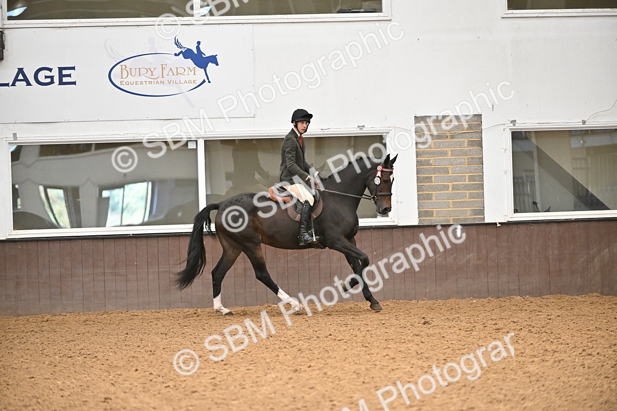 SBM_001457 - Class 19,20 - Ridden Native, Foreign Breeds & Warmbloods