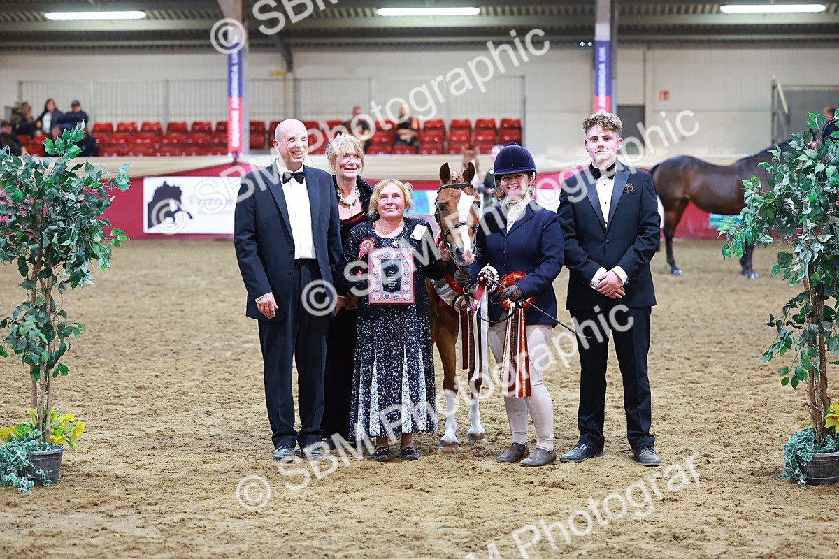 SBM_14919 - Class F - IH Small Champ