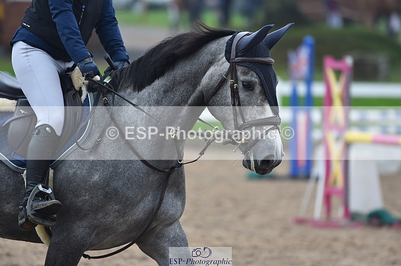 230916A-103218-03435 - Cls 21 British Novice & 90cm Open