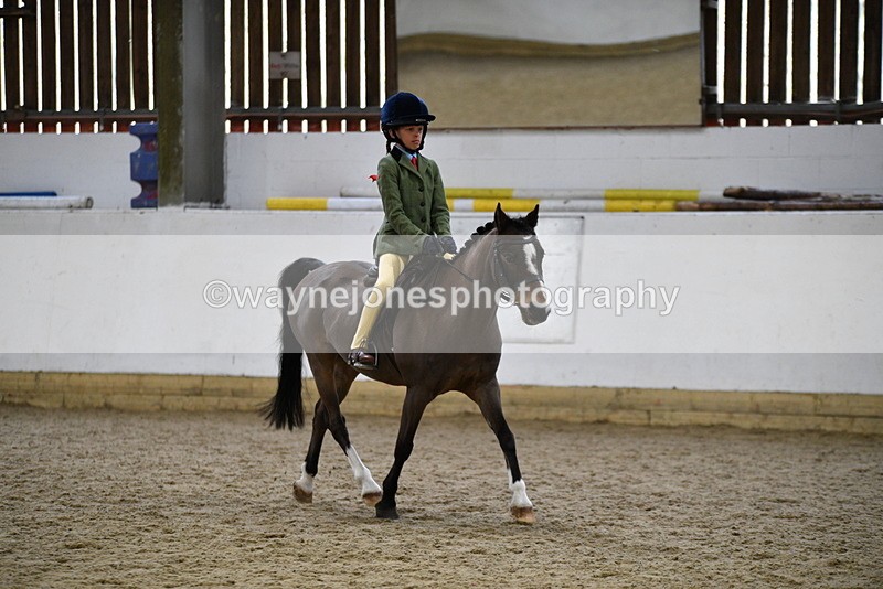 WJ5_6844 - Class 10 Childs Pony