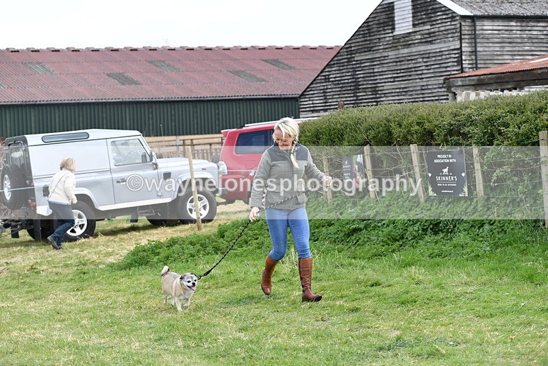 WJ5_0081 - Class 5 Best Veteran / 7 years & over