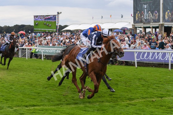 250823-Race 3-Lake Forest-0499 - Race 3 3.00pm Al Basti Equiworld Dubai Gimcrack Stakes