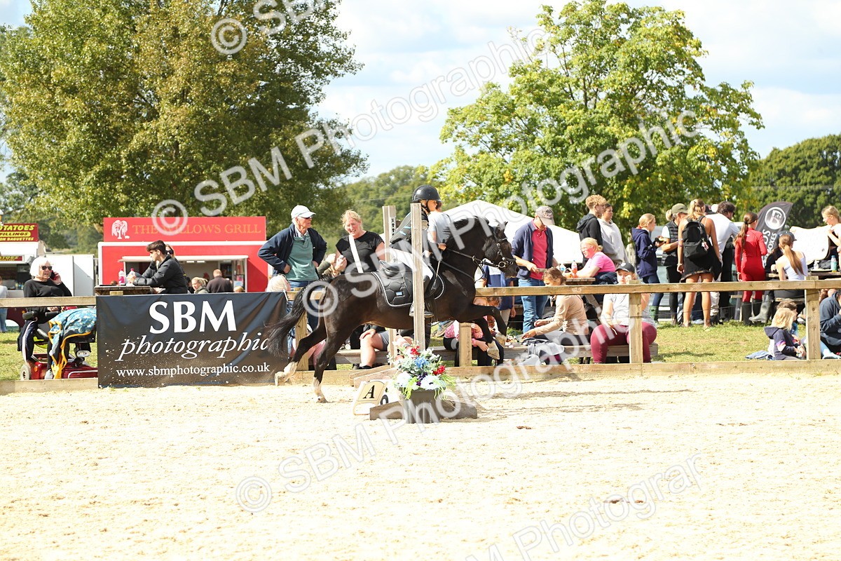 SBM_41311 - J6 - Junior Pony 55cm Championships