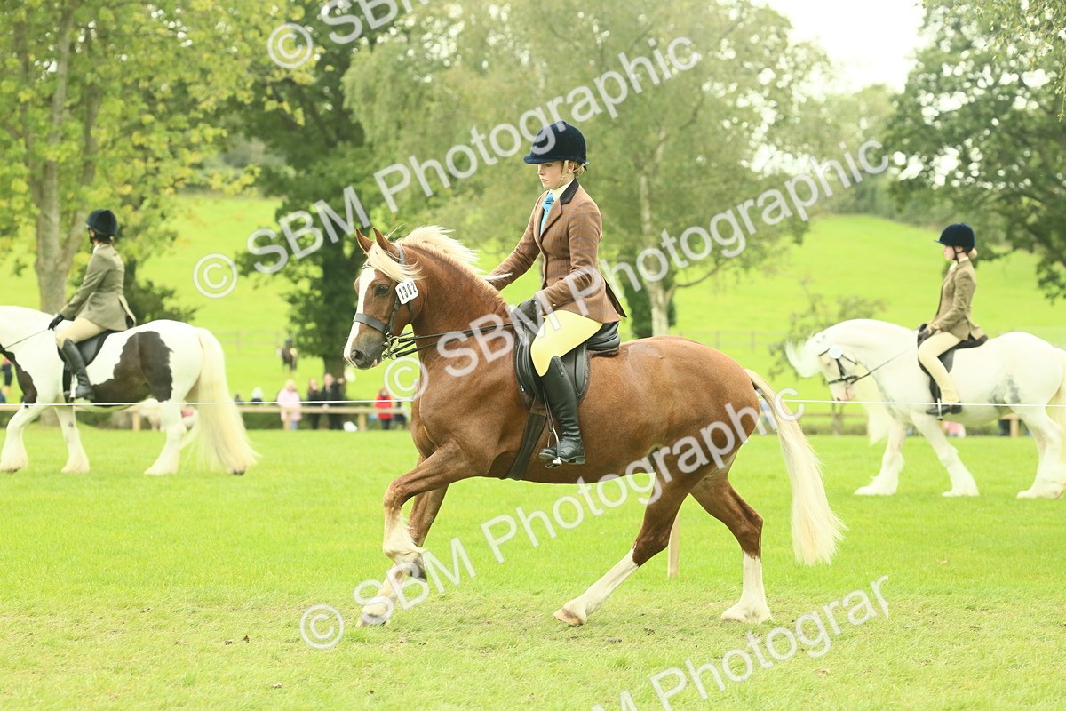 SBM_72066 - S60 - Mountain & Moorland Ridden Large Breeds