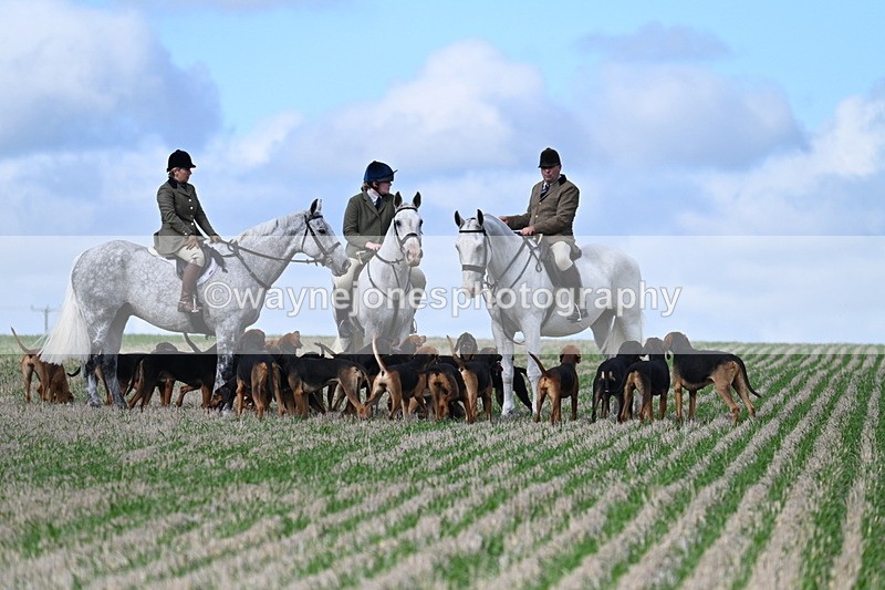 WJ7_5905 - Line One