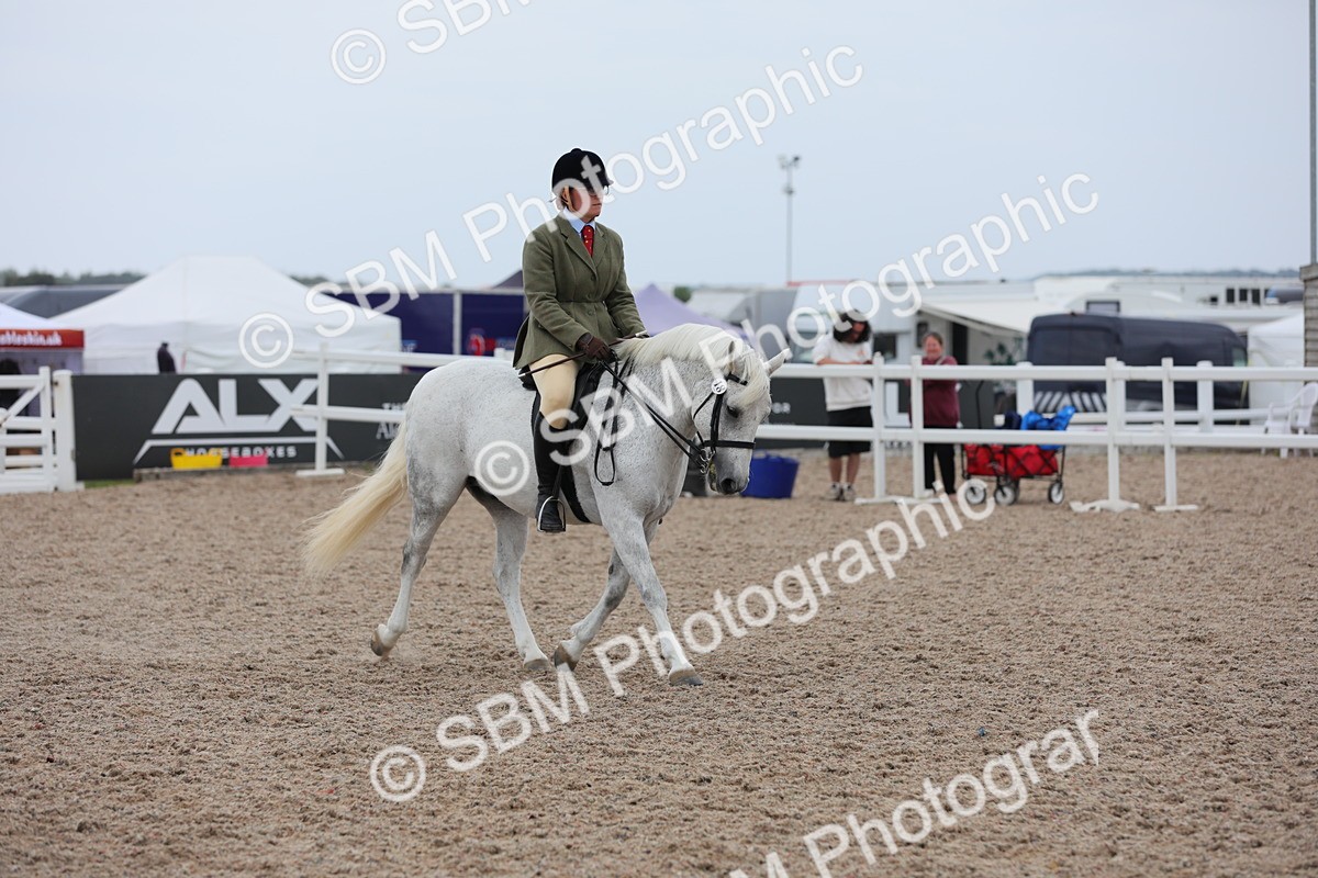 SBM_18072 - Class 316 Best Pony/Rider Combination