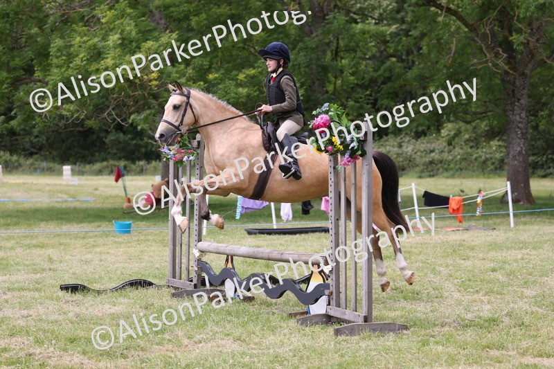 20260614-2964 - Class 22 - Open Working Hunter
