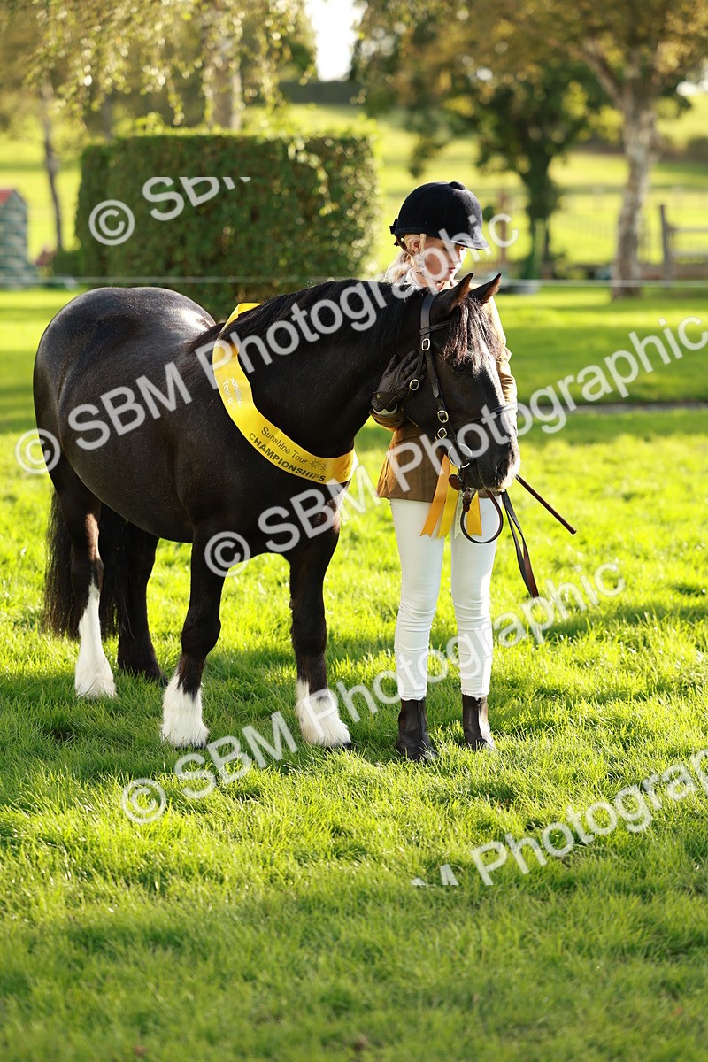 SBM_29284 - Novice & newcomer Supreme Championship
