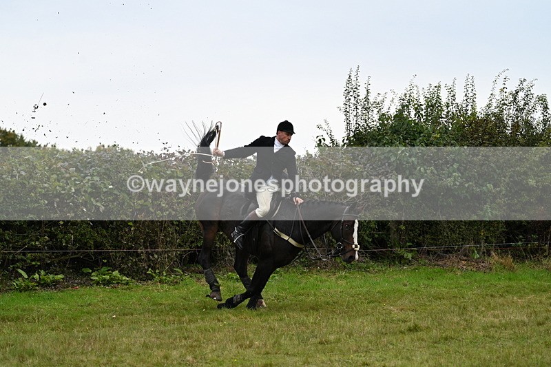 WJ7_4047 - Camera 1 Line 2