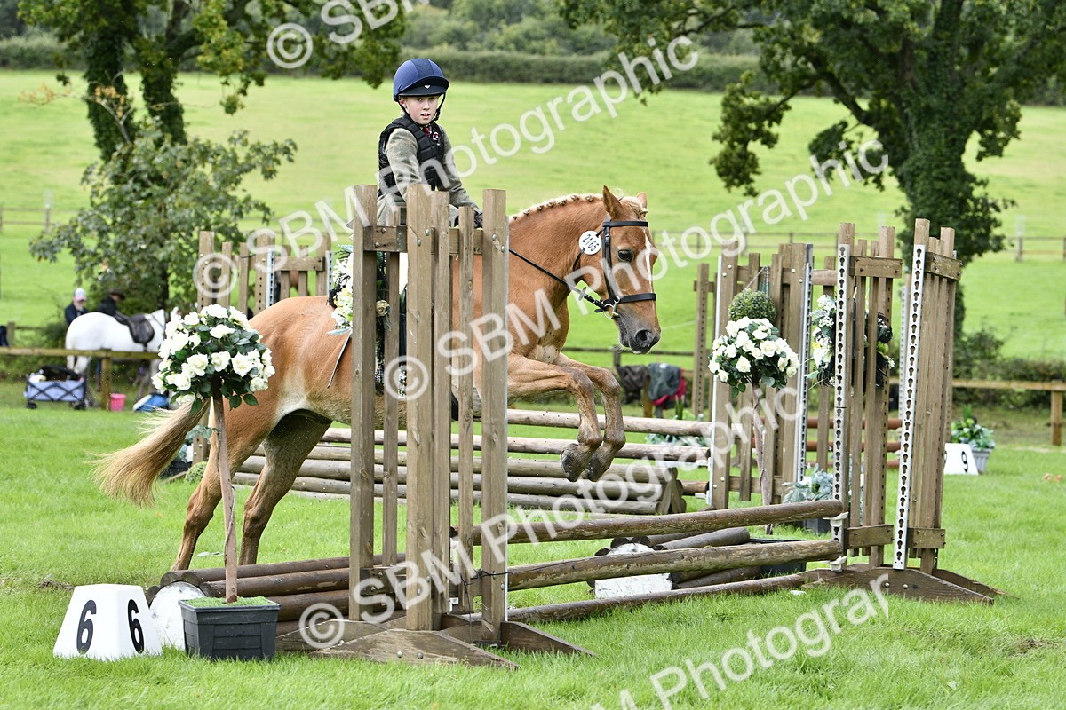 SBM_41482 - S32 - Mountain & Moorland Working Hunter Pony