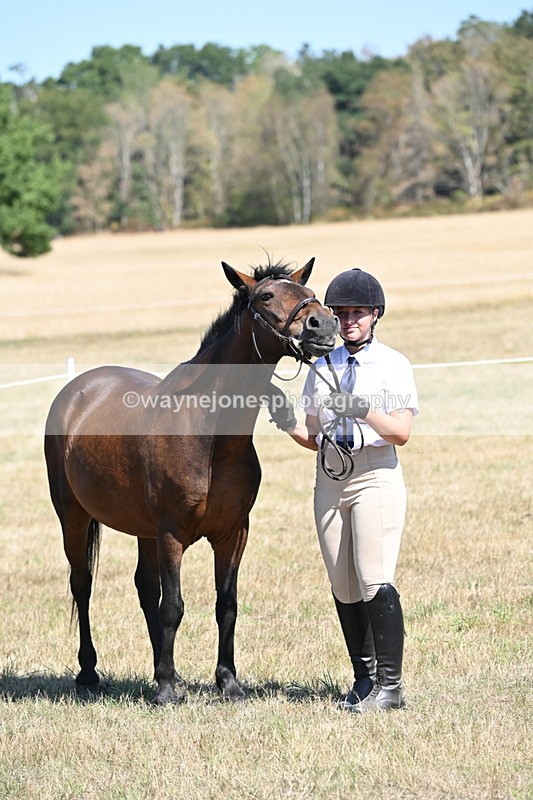 WJ6_8665 - Class 37b Best Loan Pony In-hand