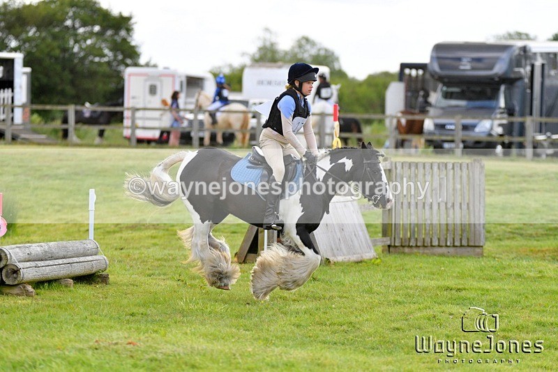 WJ5_2754 - Edited examples