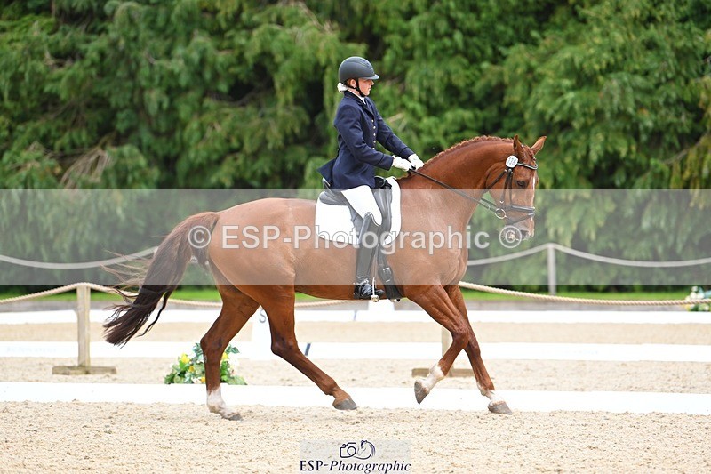 230813-135747-07655 - Cls 13 Medium Bronze 13.15 to End