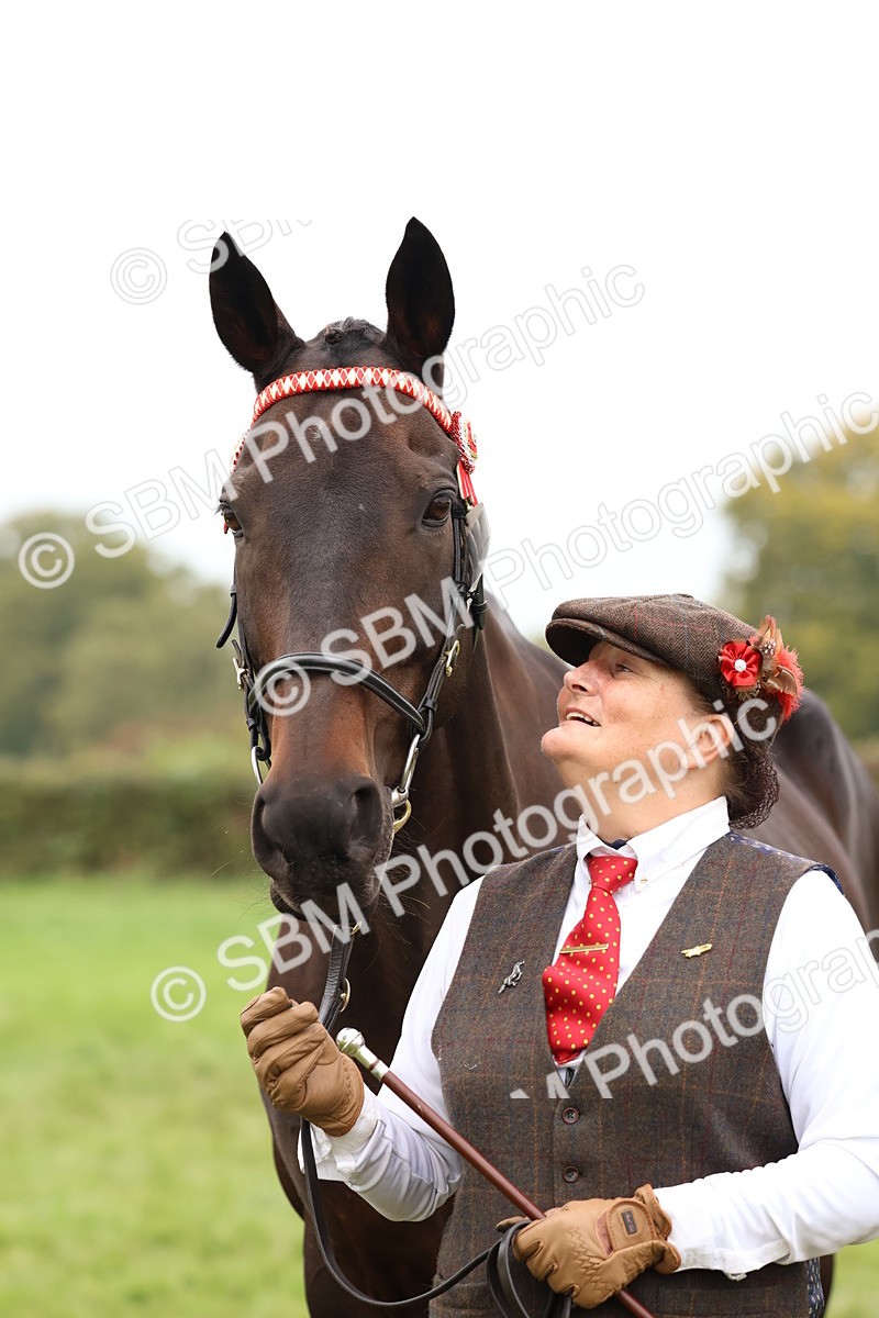 SBM_59921 - S36 - Rehabiliated Rescue Horse & Pony In Hand & Ridden
