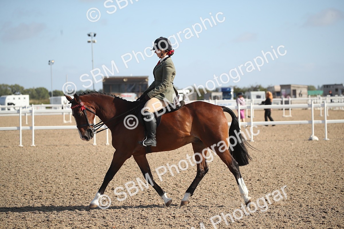 SBM_22720 - Class 601 - 2026 - Area - Ridden Diamond