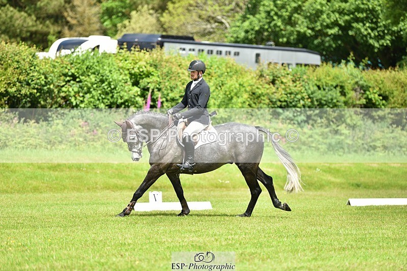 240523B-114306-02056 - 5 Year Old