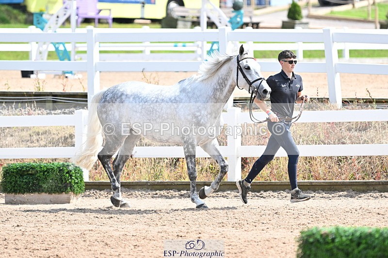 240717A-151508-02687 - Trot Up 3pm to 4pm
