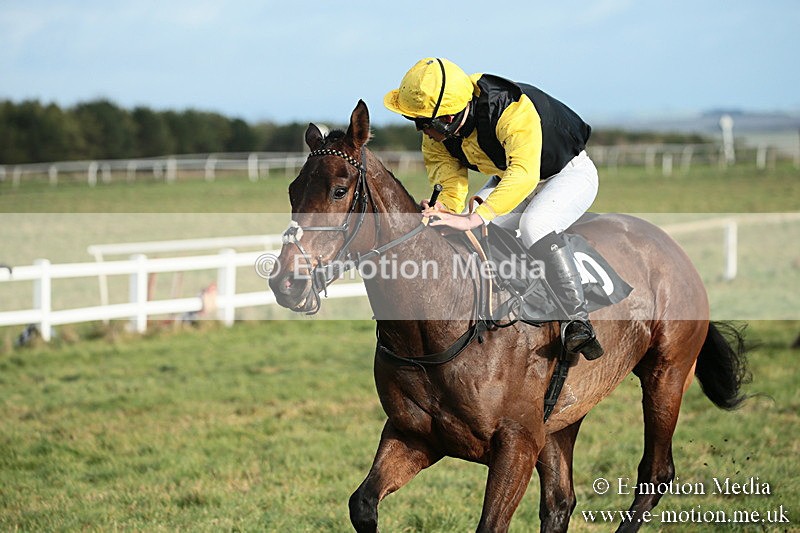 PtP 021218-42 - Hursely Hambledon Hunt Point-to-Point - Larkhill 02/12/18