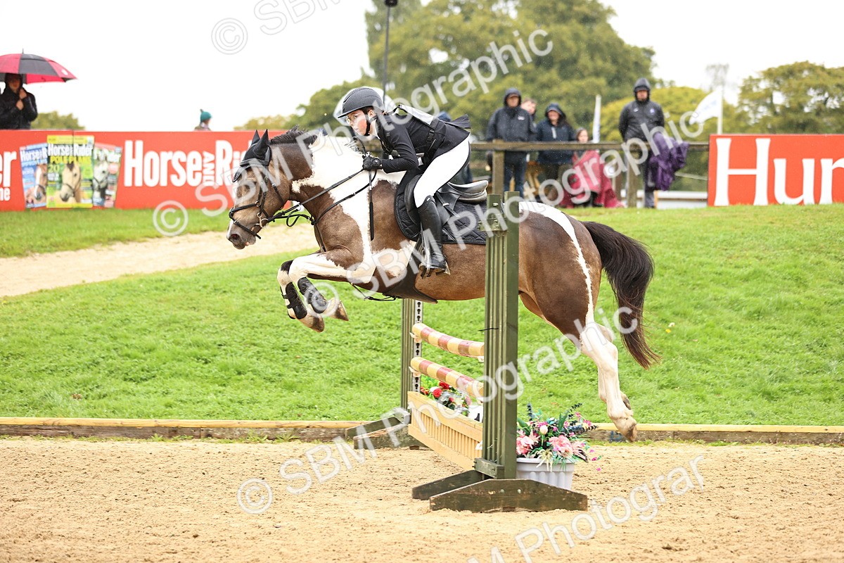 SBM_70010 - Supreme Championship 80cm 85cm