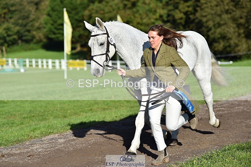 231022-103430-22577 - 457-KILLOUGHTER.GOLD.DUST-Olivia.McDonald-TrotUp+SJ