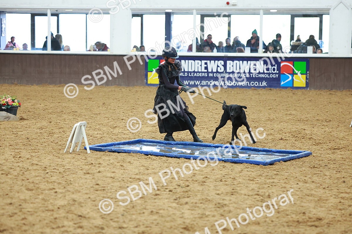 SBM_002593 - Class 3 - Horse & Hound (60cm)