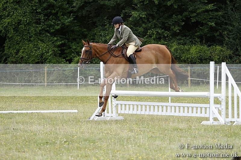 BVR160717-1715 - Ring 3 BVRC Show 16/07/17