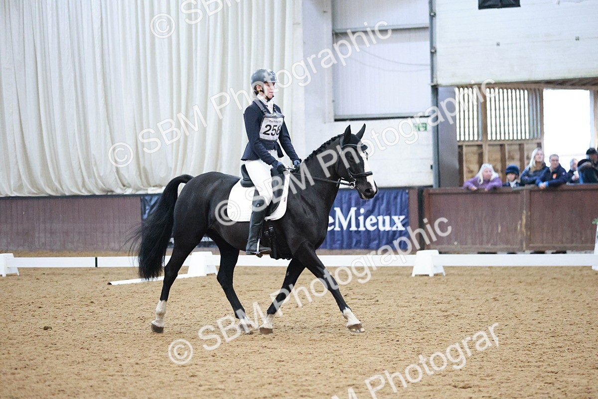 SBM_004607 - Ring 3 - International -  Working Hunter Classes 23-2-25