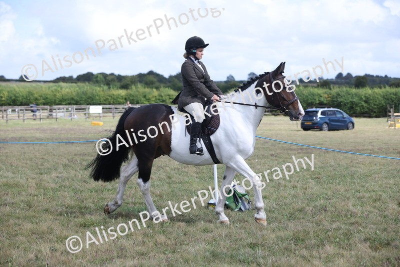 20250831-4173 - Class 20 - Ridden Coloured