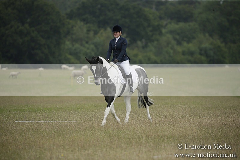 B230619-0367 - Bourne Valley Riding Club Summer Show 23/06/19