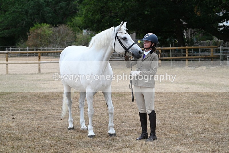 WJ7_9167 - Class 4a Prettiest Mare 14.2hh and over