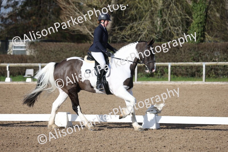 20260128-0510 - Class 4 - Novice 5