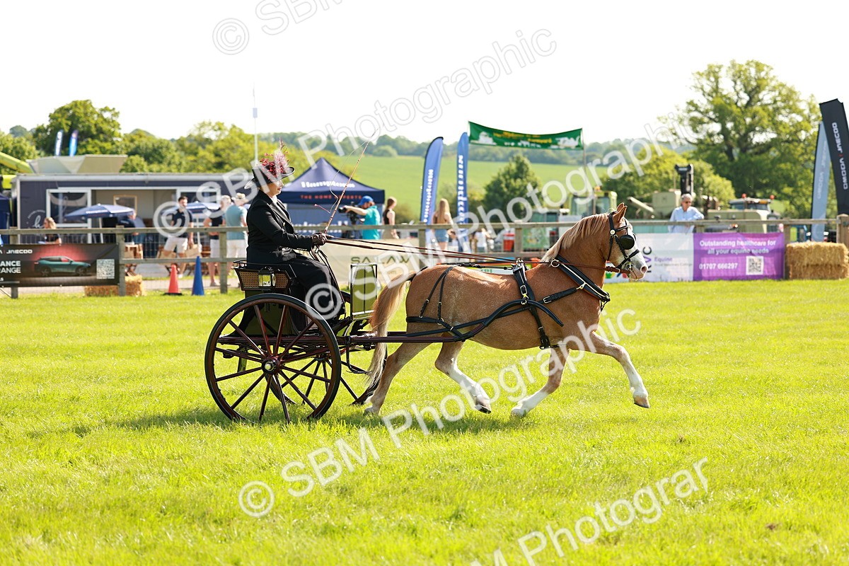 SBM_02582 - Class 2-4 - HOYS Private Driving