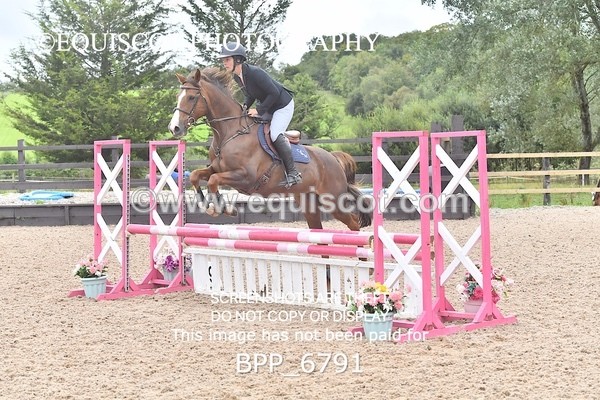 BPP_6791 - CLASS 1 Club/ Unaffiliated 80cms Open