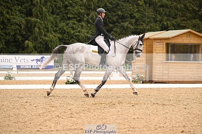 000101-215837-04509 - 404-DEERPAIRC_REVELRY-Max_Warburton