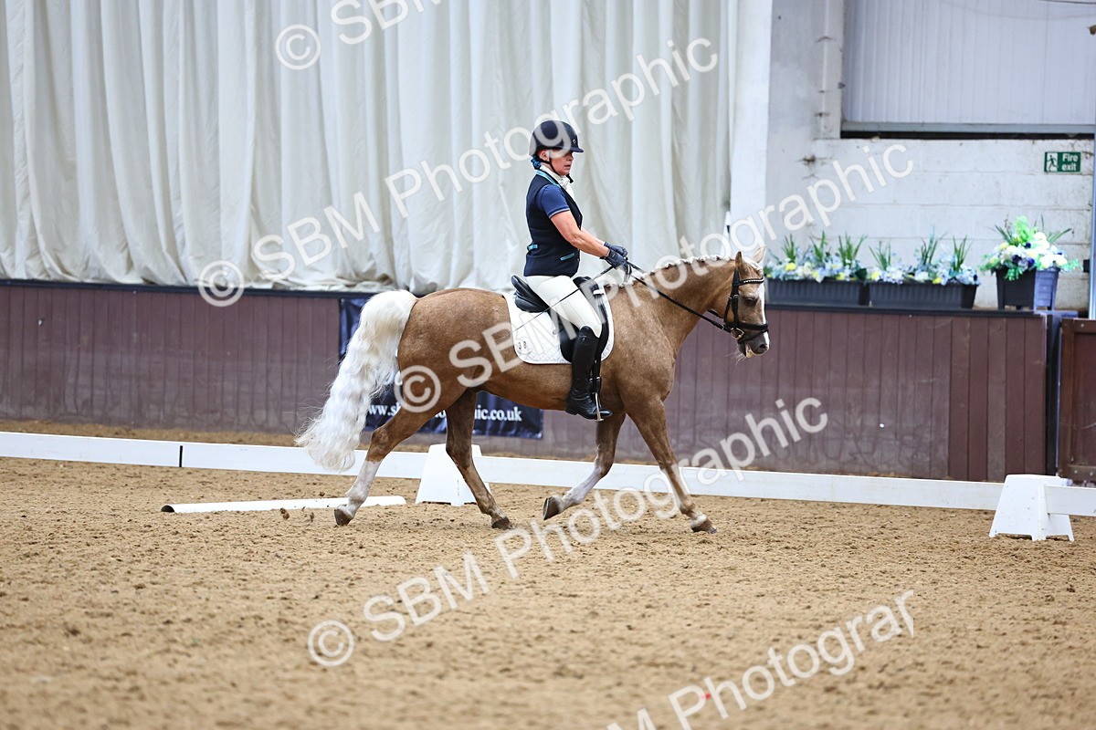 SBM_005563 - Elementary 2