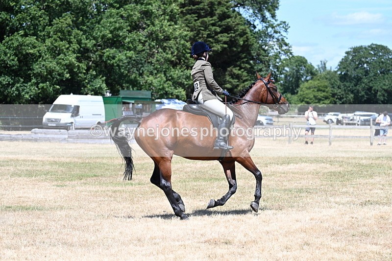 WJ7_3096 - Class 7 Riding Club Show Horse