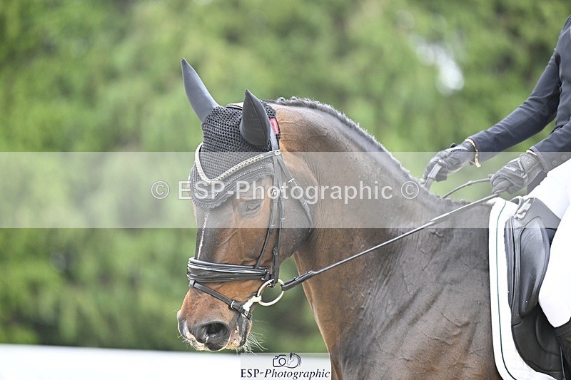 240523-165454-05570 - 448-DISCO_TRAVELER-Molly_Duda