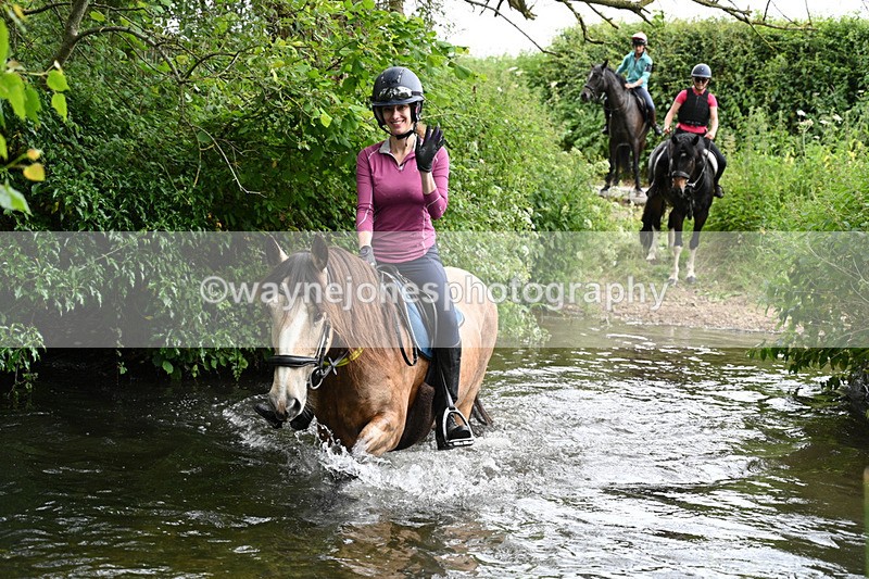 WJ7_2026 - Camera 2 Water Crossing