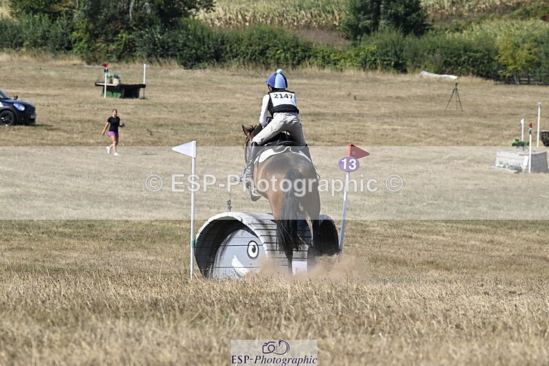 250824A-145237-38854 - 2147-George.Walford-meadow.sweet.conker