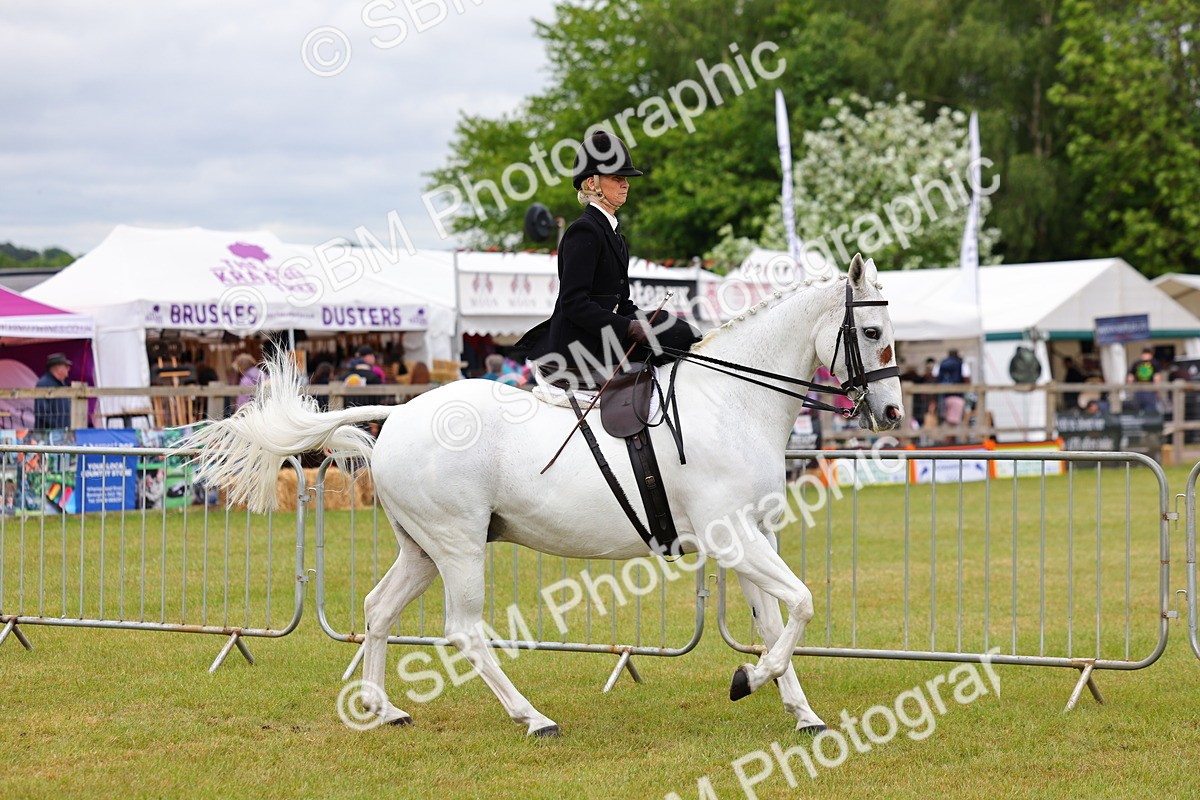 SBM_02936 - Class 9-11 Side Saddle including LIHS Rising Star Ladies Show Horse