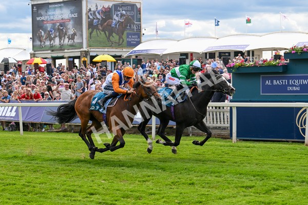 310525-Race 2-Tadej-8960 - Race 2 2.05pm Irish Thoroughbred Marketing EBF Restricted Novice Stakes